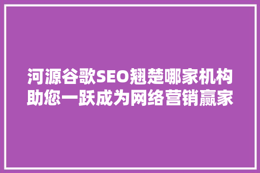 河源谷歌SEO翘楚哪家机构助您一跃成为网络营销赢家