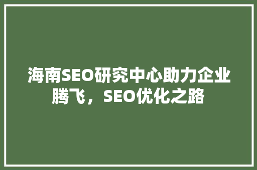 海南SEO研究中心助力企业腾飞，SEO优化之路