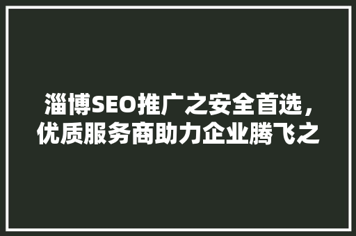 淄博SEO推广之安全首选，优质服务商助力企业腾飞之路