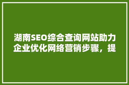 湖南SEO综合查询网站助力企业优化网络营销步骤，提升品牌竞争力