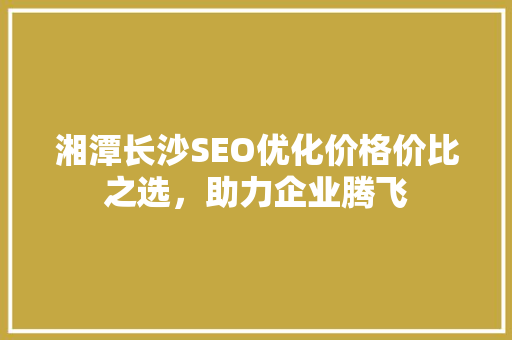 湘潭长沙SEO优化价格价比之选，助力企业腾飞
