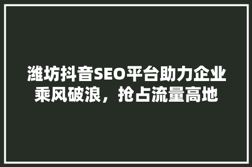潍坊抖音SEO平台助力企业乘风破浪，抢占流量高地