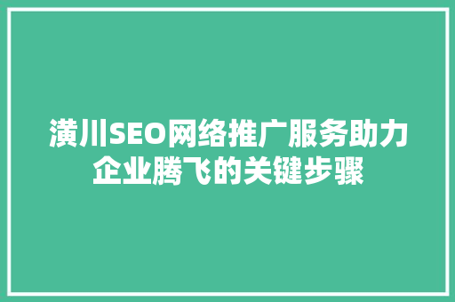 潢川SEO网络推广服务助力企业腾飞的关键步骤