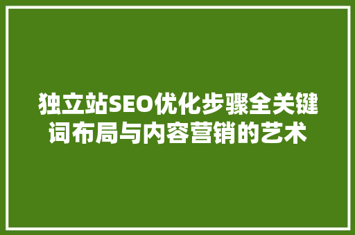 独立站SEO优化步骤全关键词布局与内容营销的艺术