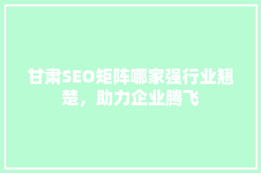 甘肃SEO矩阵哪家强行业翘楚，助力企业腾飞