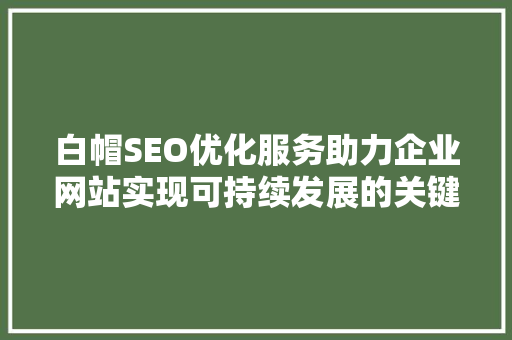 白帽SEO优化服务助力企业网站实现可持续发展的关键之路