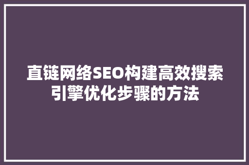 直链网络SEO构建高效搜索引擎优化步骤的方法