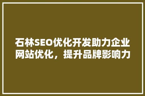 石林SEO优化开发助力企业网站优化，提升品牌影响力