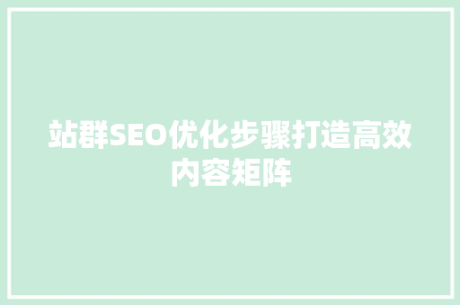 站群SEO优化步骤打造高效内容矩阵