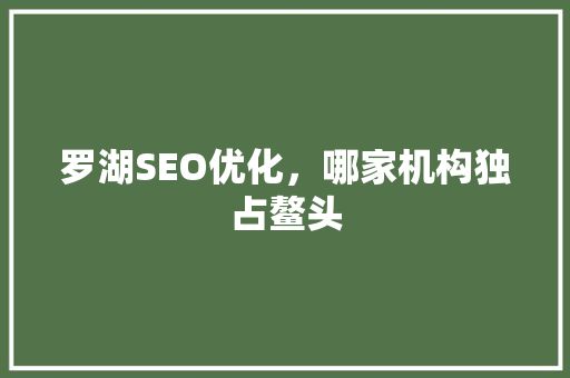 罗湖SEO优化，哪家机构独占鳌头