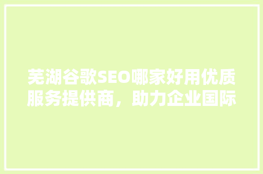 芜湖谷歌SEO哪家好用优质服务提供商，助力企业国际化发展