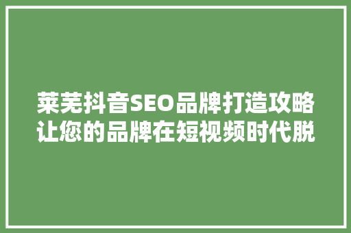 莱芜抖音SEO品牌打造攻略让您的品牌在短视频时代脱颖而出