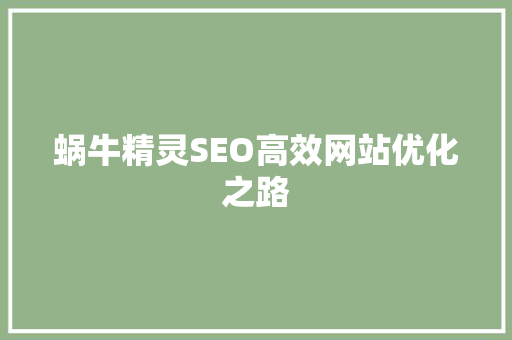 蜗牛精灵SEO高效网站优化之路
