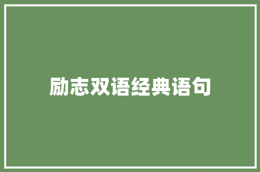 许昌SEO营销推广工具助力企业高效提升网络曝光与品牌影响力