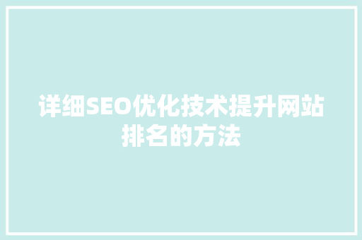 详细SEO优化技术提升网站排名的方法  第1张