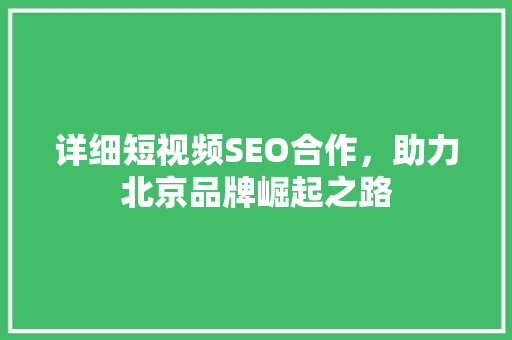 详细短视频SEO合作，助力北京品牌崛起之路