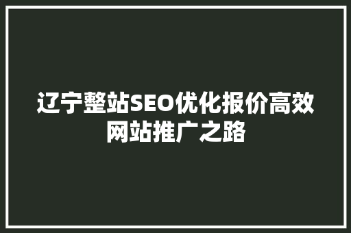 辽宁整站SEO优化报价高效网站推广之路