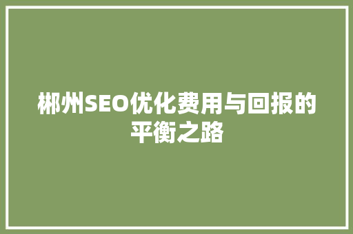 郴州SEO优化费用与回报的平衡之路