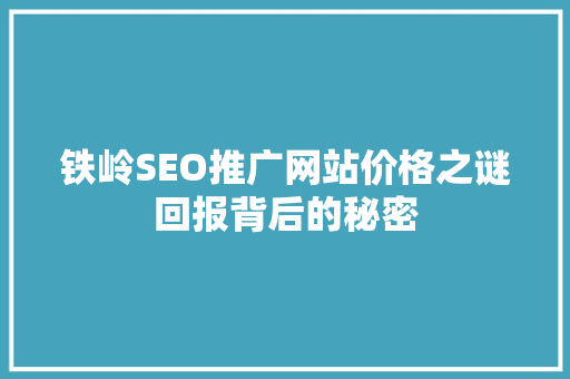 铁岭SEO推广网站价格之谜回报背后的秘密