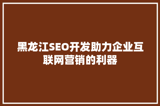 黑龙江SEO开发助力企业互联网营销的利器