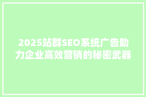 2025站群SEO系统广告助力企业高效营销的秘密武器  第1张