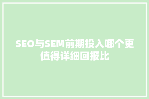 SEO与SEM前期投入哪个更值得详细回报比