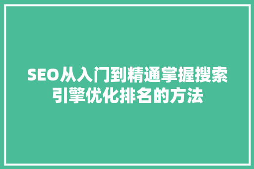 SEO从入门到精通掌握搜索引擎优化排名的方法