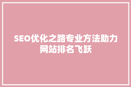 SEO优化之路专业方法助力网站排名飞跃