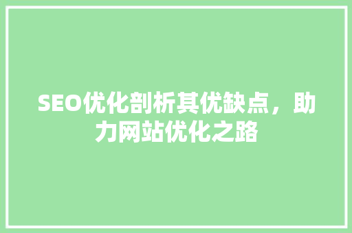 SEO优化剖析其优缺点，助力网站优化之路