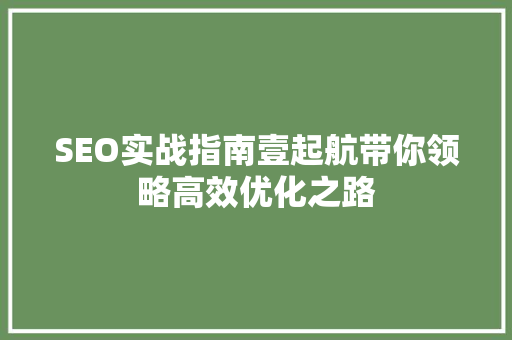 SEO实战指南壹起航带你领略高效优化之路