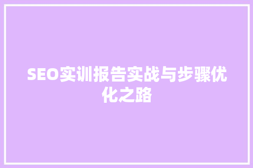 SEO实训报告实战与步骤优化之路