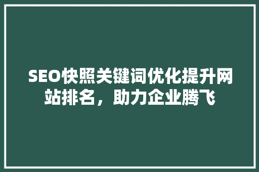 SEO快照关键词优化提升网站排名，助力企业腾飞