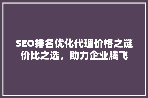 SEO排名优化代理价格之谜价比之选，助力企业腾飞