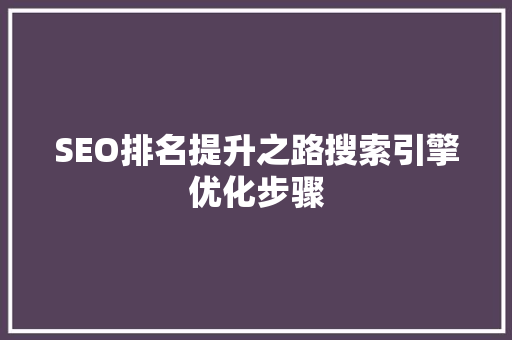 SEO排名提升之路搜索引擎优化步骤