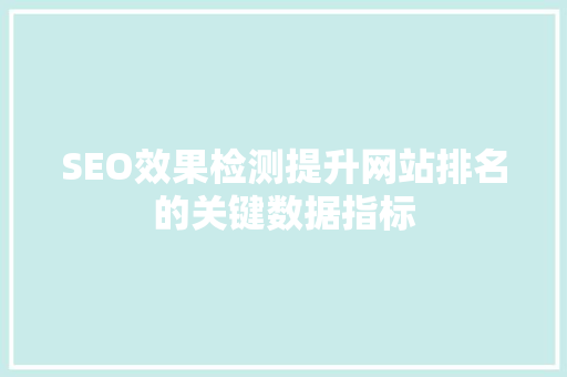 SEO效果检测提升网站排名的关键数据指标