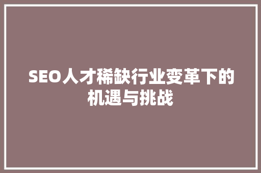 SEO人才稀缺行业变革下的机遇与挑战