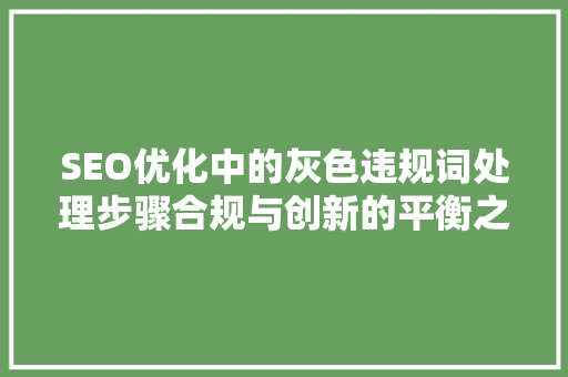 SEO优化中的灰色违规词处理步骤合规与创新的平衡之路