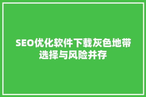 SEO优化软件下载灰色地带选择与风险并存