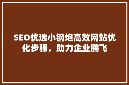 SEO优选小钢炮高效网站优化步骤，助力企业腾飞
