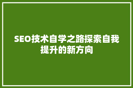 SEO技术自学之路探索自我提升的新方向