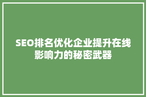 SEO排名优化企业提升在线影响力的秘密武器