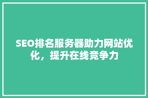 SEO排名服务器助力网站优化，提升在线竞争力