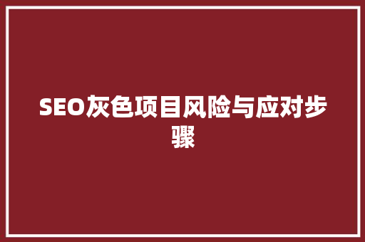 SEO灰色项目风险与应对步骤