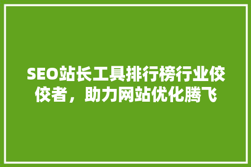 SEO站长工具排行榜行业佼佼者，助力网站优化腾飞