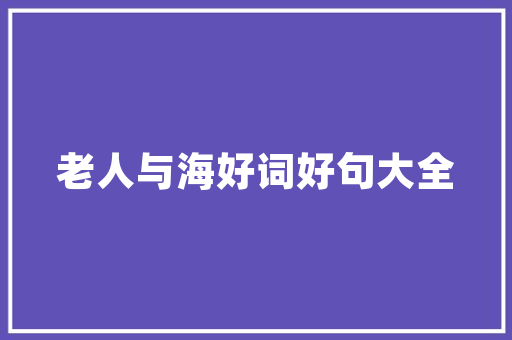 Flash帧代码技术与艺术的完美融合
