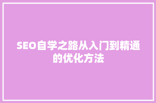 SEO自学之路从入门到精通的优化方法