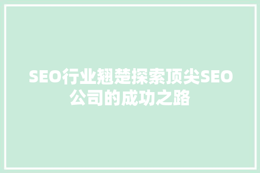 SEO行业翘楚探索顶尖SEO公司的成功之路