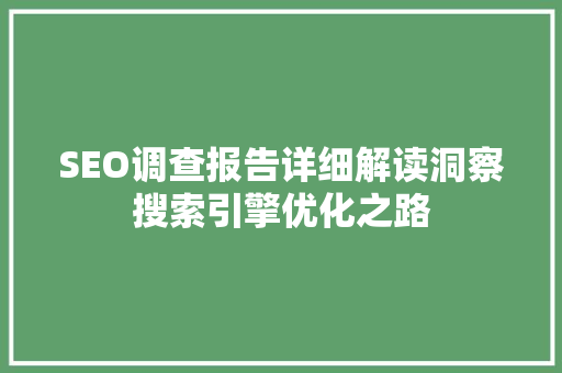 SEO调查报告详细解读洞察搜索引擎优化之路
