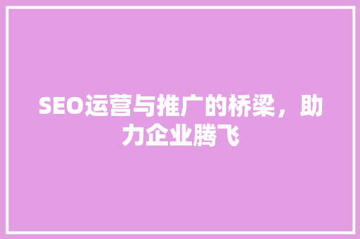 SEO运营与推广的桥梁，助力企业腾飞
