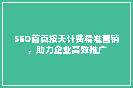 SEO首页按天计费精准营销，助力企业高效推广